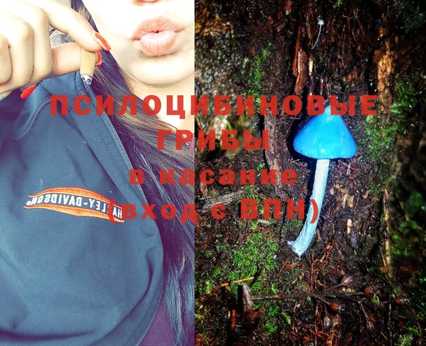 ALPHA-PVP Покров