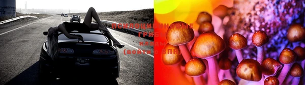 ALPHA-PVP Покров